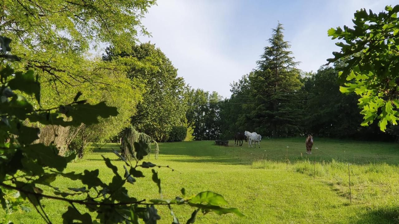 Domaine Du Cardou Hotel Puy-lʼÉvêque Exterior foto